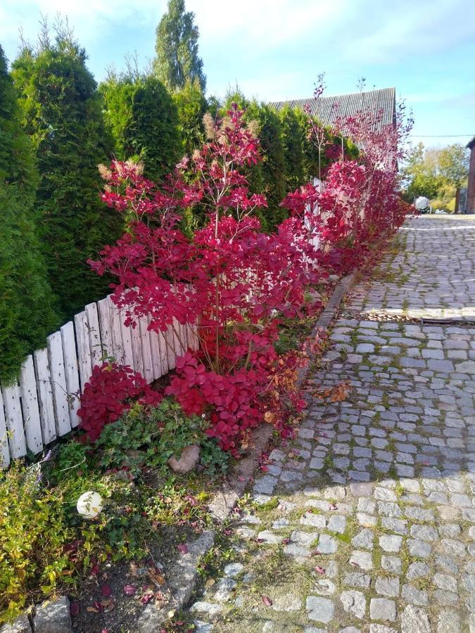 Zajazd Eljan-Centrum Noclegowe Olsztyn  Kültér fotó